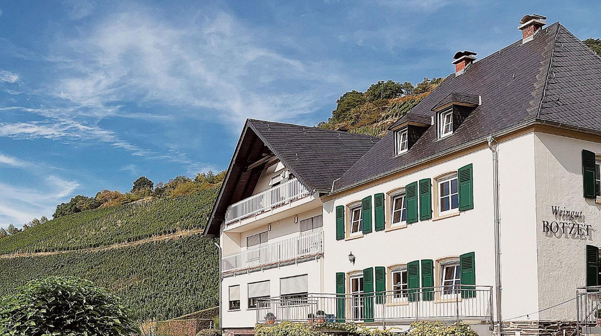 Pension 1595 Im Weingut Botzet Maring-Noviand Exteriér fotografie